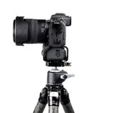 R5MKII Battery Grip side view